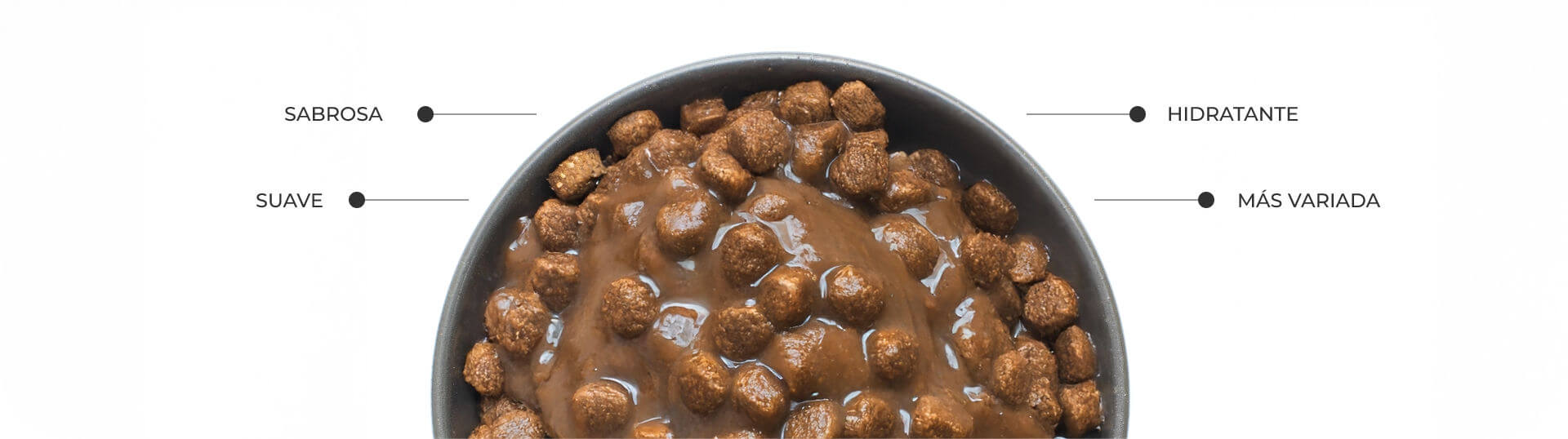 Características comida húmeda de Lola Cool Pet