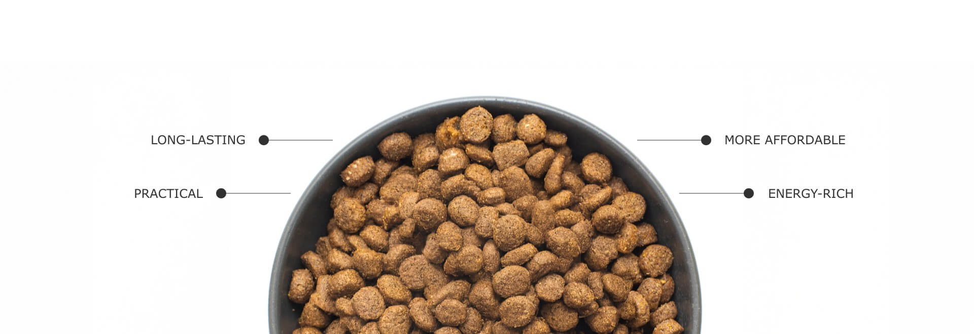 Comida seca propiedades